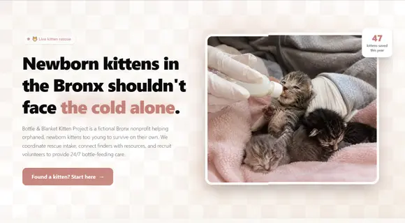 Orphaned kitten rescue website