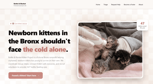 Orphaned kitten rescue website