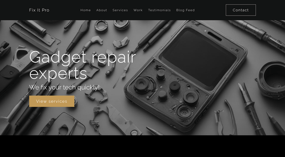 Gadget repair website