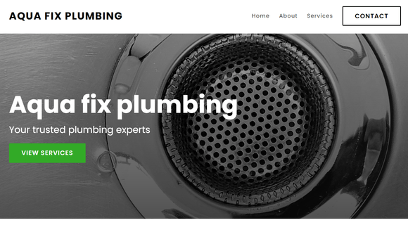 Plumbing company website