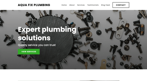 Plumbing company website