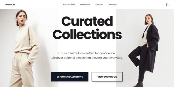 Dropshipping website