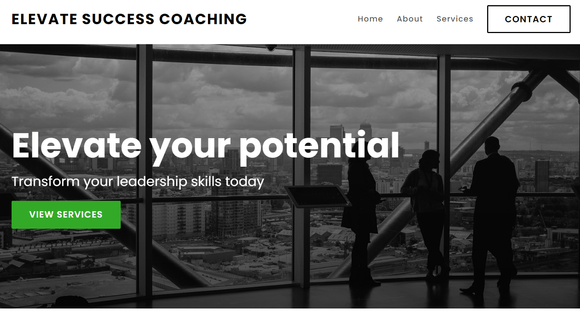 Business coach website