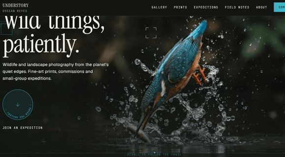 Nature & wildlife photographer portfolio