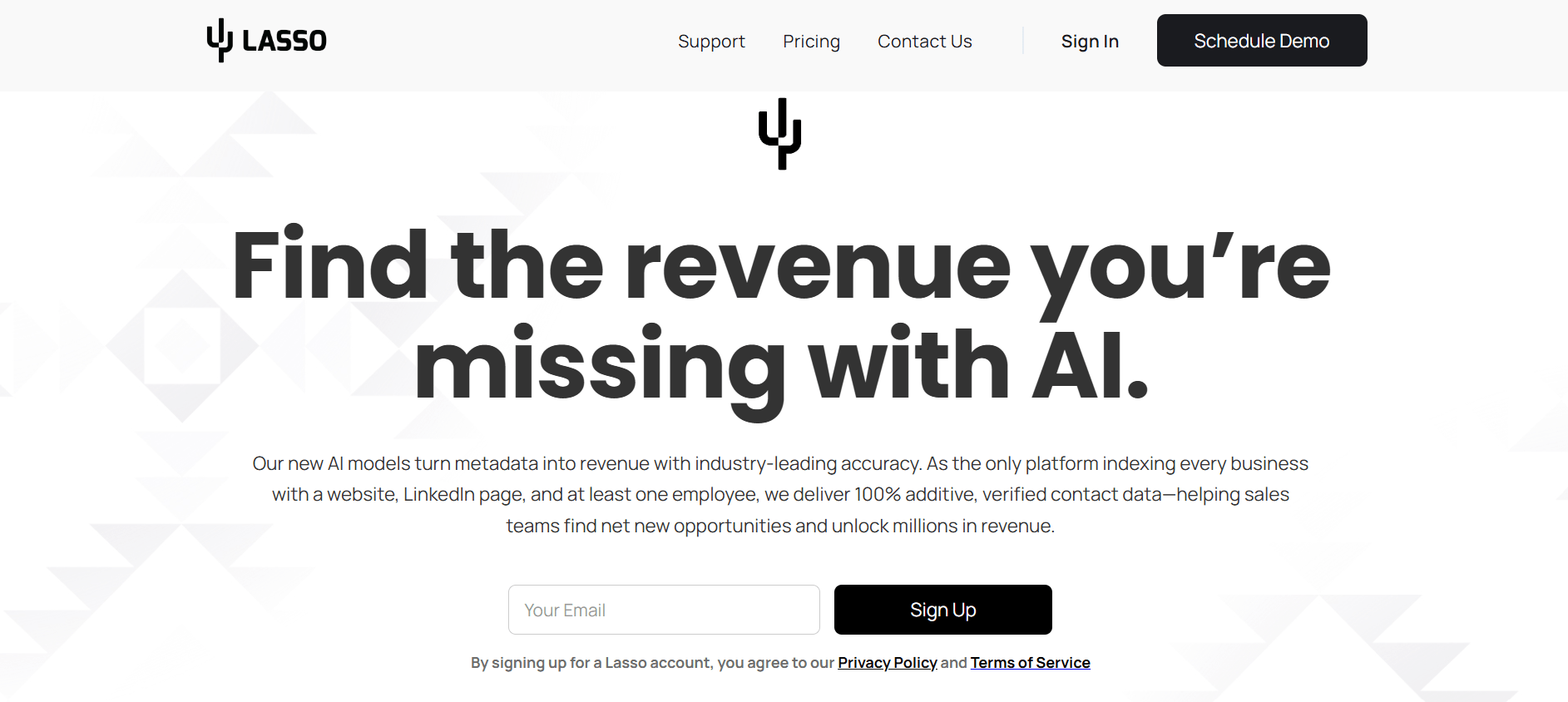  Lasso AI - Unlock Hidden Revenue and Find Your Missing Leads 