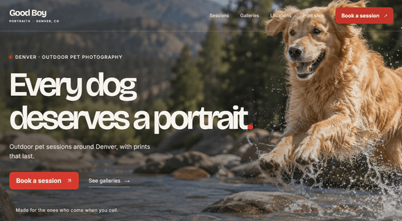 Pet photography website template